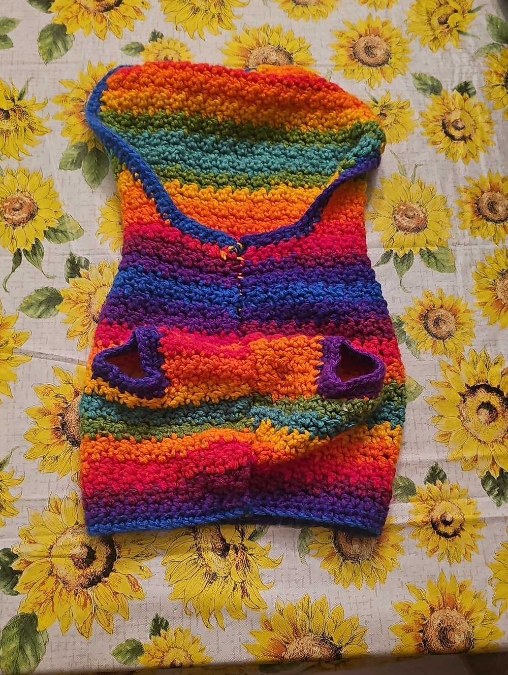 Cozy Rainbow Crochet Pet Poncho with Hood